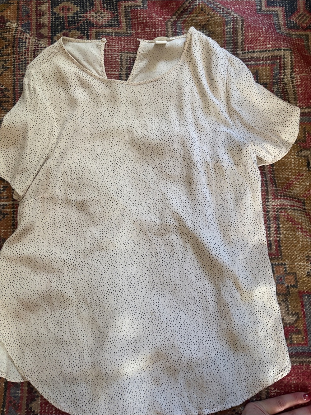 H&M Cream Short-Sleeve Dot Print Blouse